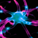 decontaminate avatar