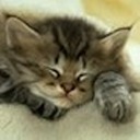 deedeeatnight avatar