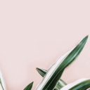 deep--nostalgia avatar