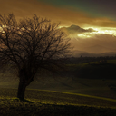 deep-breath-for-you-and-i avatar