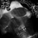 deep-emotional-fish avatar