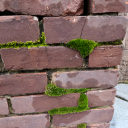 deep-green-existentialist avatar