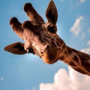 deep-secrets-on-my-mind avatar