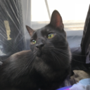 deep-space-potato avatar