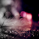 deepandcheesy avatar