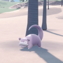 deepcolorobserver avatar