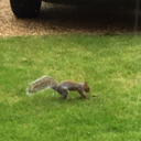 deepdarkdesires78 avatar