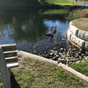 deepestangelpoetry avatar