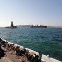 deepestdiplomatturtlepurse avatar