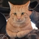 deepestdragongarden avatar