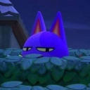 deepestnightcolor avatar