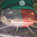 deepfriedsharkbites avatar