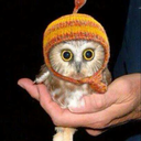 deepgalaxypersona avatar