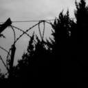 deepinsidethevoid avatar