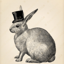 deeplyvasthorizon avatar