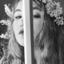 deepnites-blog avatar