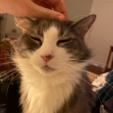 deepseaphantom avatar