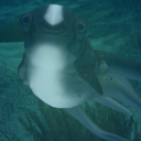 deepsquidling avatar