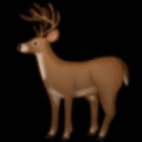 deer-a-day avatar