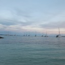 deer-intheheadlight avatar