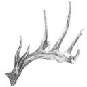 deer-punx-blog avatar