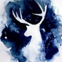 deer-rein avatar