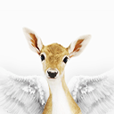 deer-wings avatar