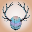 deerandwalnuts avatar