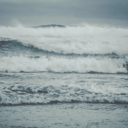 deerest-heart avatar