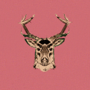 deerheadrecording avatar