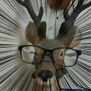 deerheadxr avatar