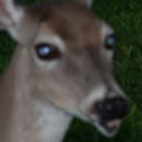 deerhex avatar