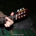 deerinheadlightz avatar