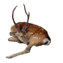 deerlegs avatar