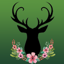 deerlybelovedshoppe avatar