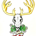 deernationherbs avatar