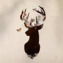 deerwallpaper avatar