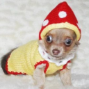 defaultsystem avatar