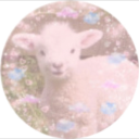 defective-carrot avatar