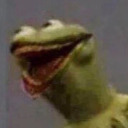 defenestratingkermit avatar