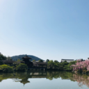 defenestratioon avatar