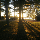 defiantlychou avatar