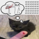 definitely-not-a-horny-sideblog avatar