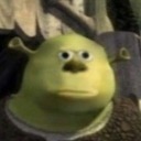 definitely-not-my-blog avatar