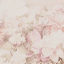 definitelycaring avatar