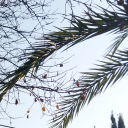 definitelynoonesposts avatar