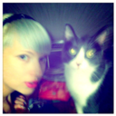 definitelynothing-blog avatar