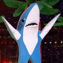 definitelynotleftshark avatar