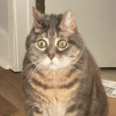 definition-of-awkward avatar