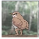 definitionofcasualstan avatar